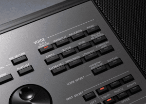 A5000 61-Key World Music Arranger