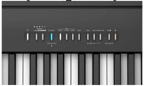 fp30x roland features