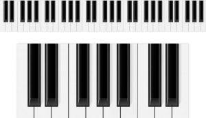 Best Digital Piano Guide