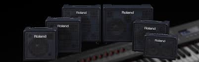 roland keyboard amp