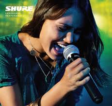 Shure BLX24/PG58