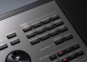 A5000 61-Key World Music Arranger