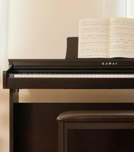 Kawai KDP120 Digital Home Piano
