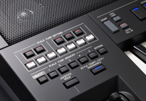 PSR-A5000 61-Key World Music Arranger Workstation