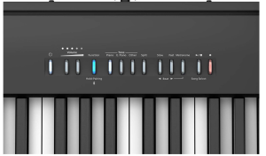 fp30x roland features